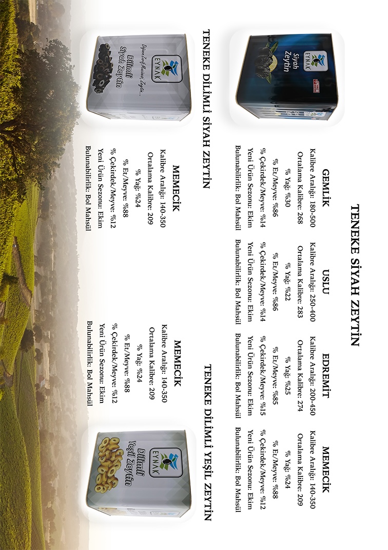 Katalog Sayfa 4