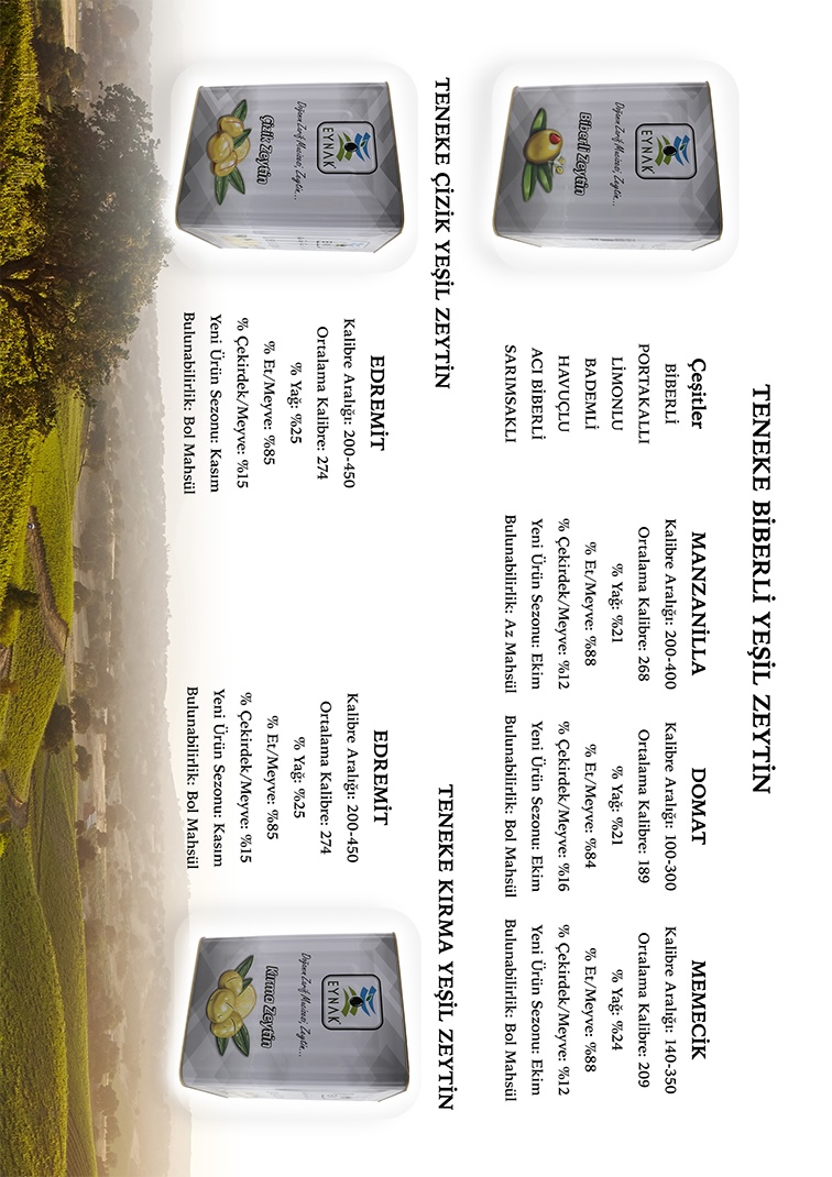 Katalog Sayfa 5